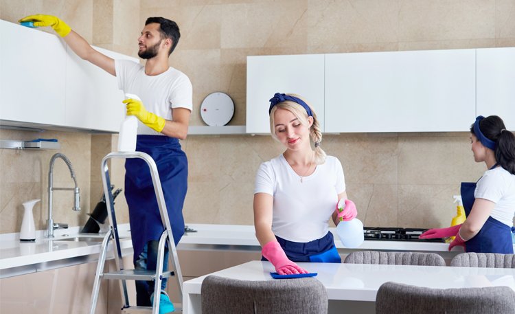 Hygienic & Easy to Clean